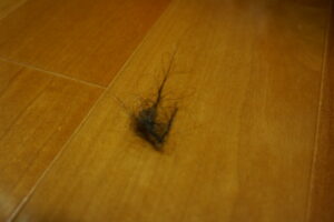 PencilVac掃除機出かけた後の髪の毛の塊の残り